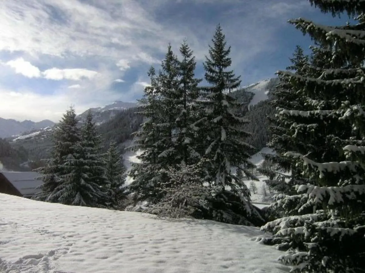 Appartement Chaleureux 4 Pieces, Acces Direct Aux Pistes, Proche Commerces Et Services, Parking Couvert - Fr-1-180-178 Meribel 0*,  France